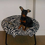 Jahna participe au concours pour gagner de l'argent avec cette photo :