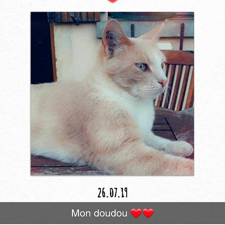 Gribouille