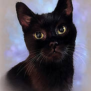 Lil' Bean joined the competition — help win amazing prizes! black_cat, cat, portrait, animal, pet, whiskers, yellow_eyes, close_up, feline, soft_lighting, blurred_background, curious, cute, fur, muzzle, ears, head, face, domestic_cat, indoor