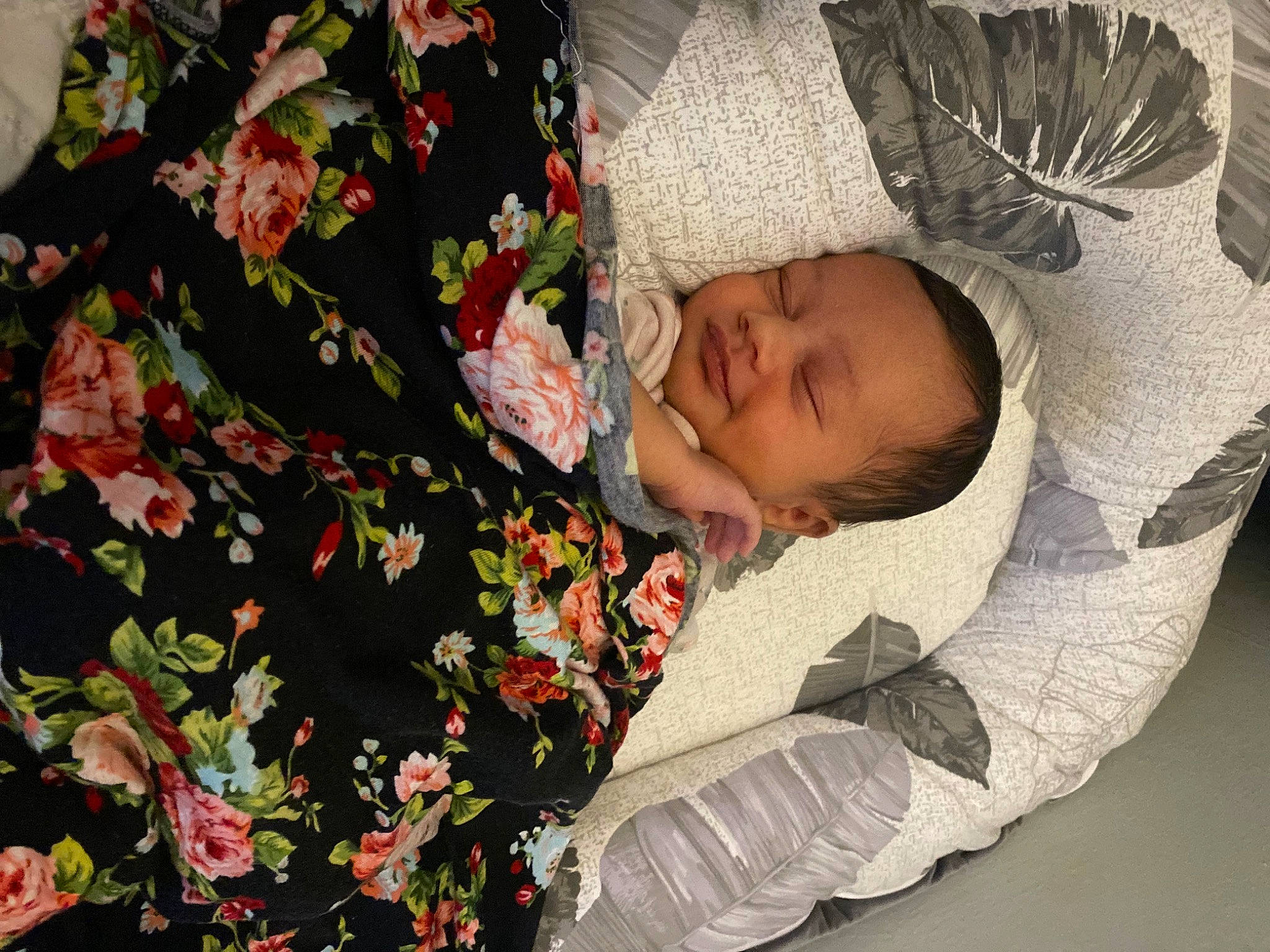 Eliana is registered to the contest to win money with this photo: baby, baby_products, baby_sleeping, blossom, child, comfort, happy, human_body, leaf, linens, nap, pattern, people_in_nature, person, petal, plant, sleep, sleeve, textile, toddler