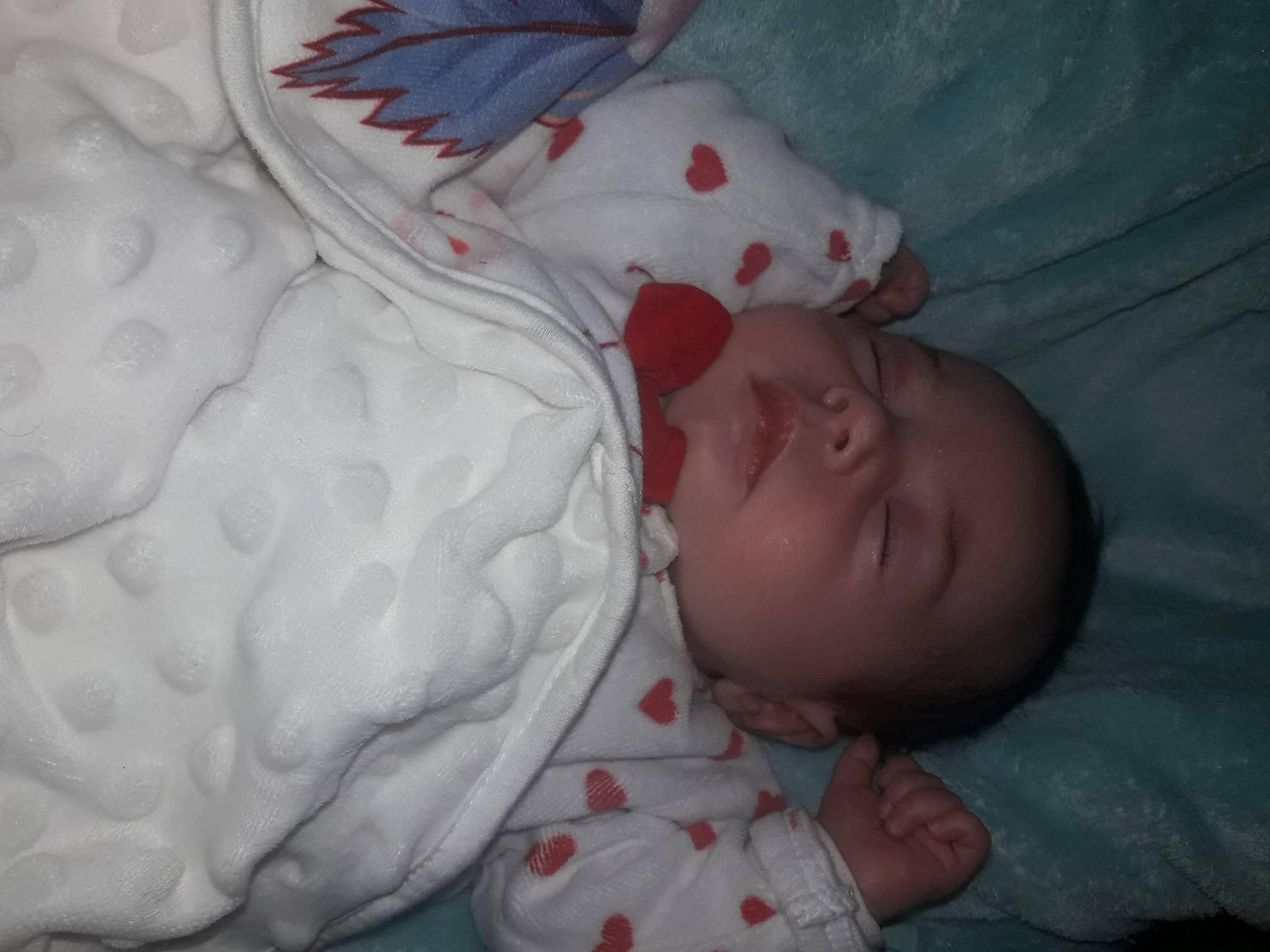 Phylomene a rejoint le concours — aidez-le/la à gagner de superbes lots ! baby, baby_products, baby_sleeping, baby_toddler_clothing, bedding, bedtime, bird, carmine, child, comfort, feather, linens, nap, pattern, person, room, sleep, textile, toddler, white