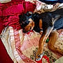 Cheyenne joined the competition — help win amazing prizes! dog, sleeping, quilt, blanket, bed, indoors, resting, black_and_tan, paw, person_partial, fabric, comfort, home, relaxation, textile, blue_shirt, napping, fur, animal, cozy