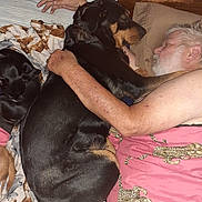 Cheyenne joined the competition — help win amazing prizes! adult, animal, bed, black_dog, blanket, companion, cozy, cuddling, dog, fur, human_animal_interaction, indoors, leisure, man, pet, pillow, relaxation, rest, senior, sleeping