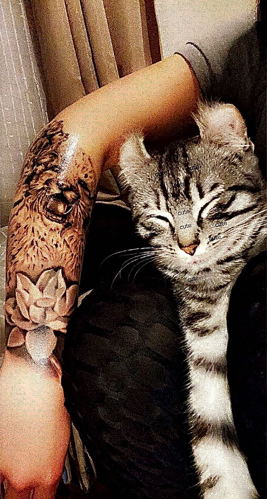 Lonely a rejoint le concours — aidez-le/la à gagner de superbes lots ! carnivore, cat, chest, domestic_short_haired_cat, elbow, felidae, finger, gesture, hand, human_leg, nail, paw, small_to_medium_sized_cats, snout, tail, tattoo, temporary_tattoo, thigh, whiskers, wrist