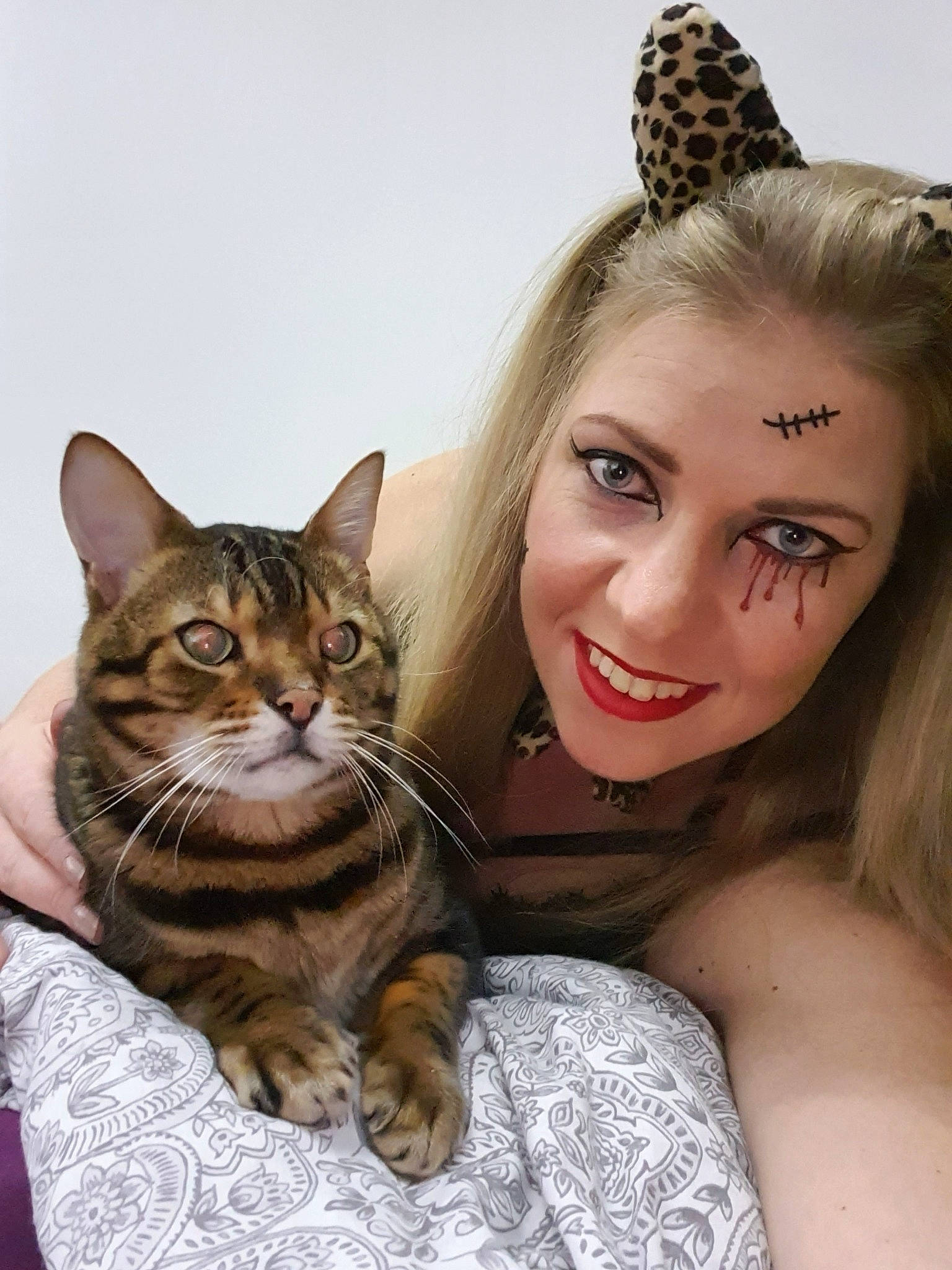Zeus joined the competition — help win amazing prizes! american_shorthair, asian, bengal, blond, brown_hair, carnivore, cat, chausie, dragon_li, ear, european_shorthair, felidae, hair, kitten, mammal, small_to_medium_sized_cats, sokoke, tabby_cat, toyger, whiskers