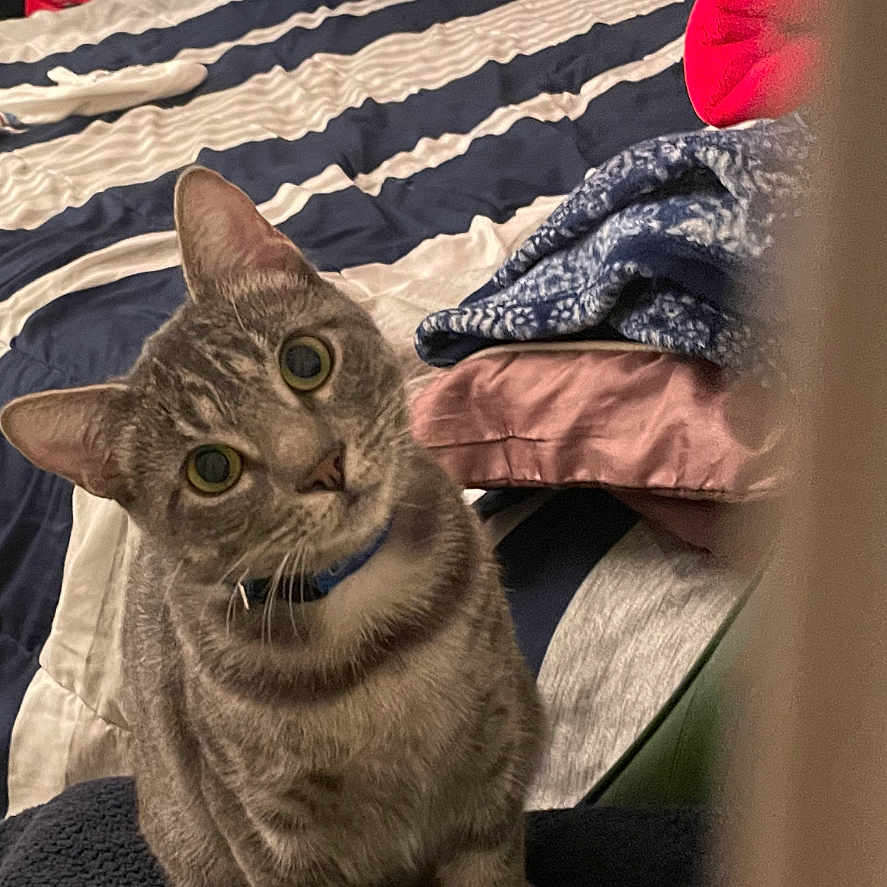 Luna