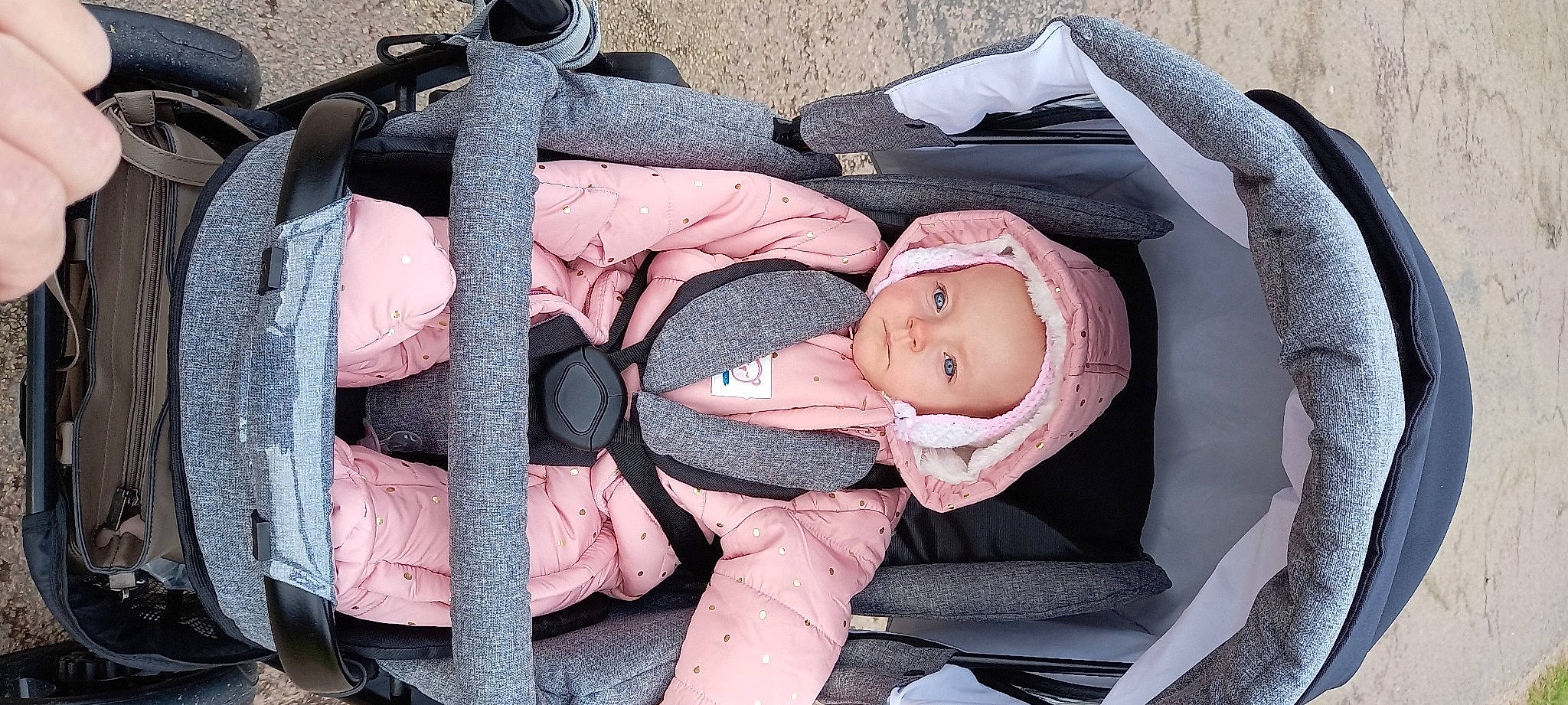 Susie participe au concours pour gagner de l'argent avec cette photo : auto_part, baby, baby_carriage, baby_products, baby_safety, baby_toddler_clothing, car_seat, child, comfort, headwear, lap, pattern, person, product, sitting, skin, smile, thumb, toddler