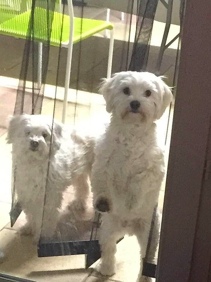 Gabin Et Lilli