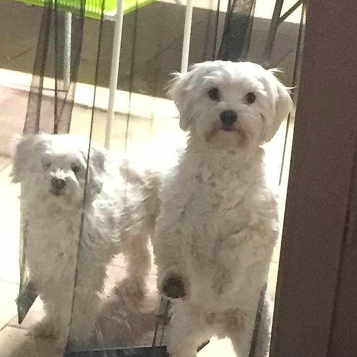 Gabin Et Lilli