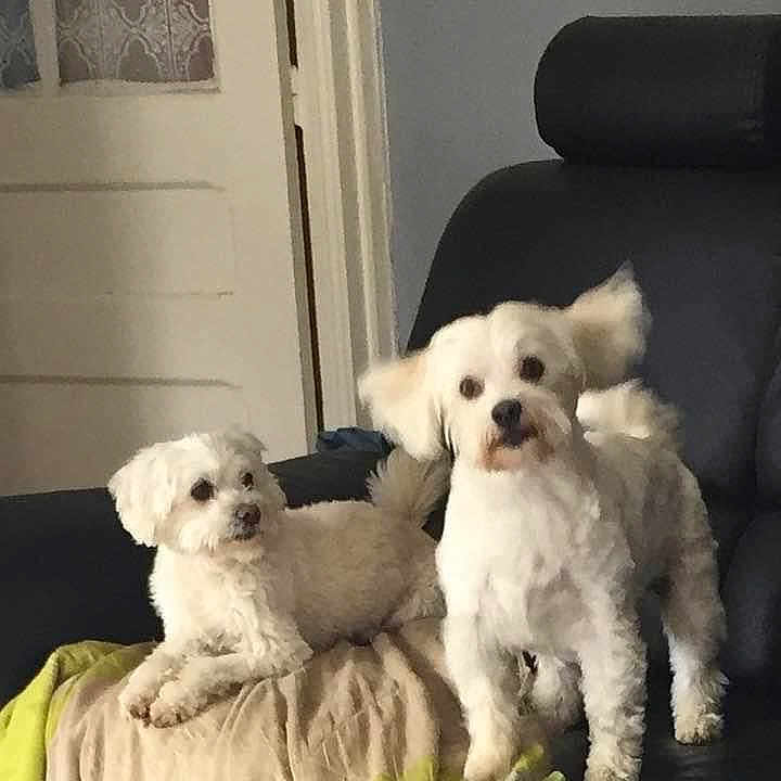 Gabin Et Lily