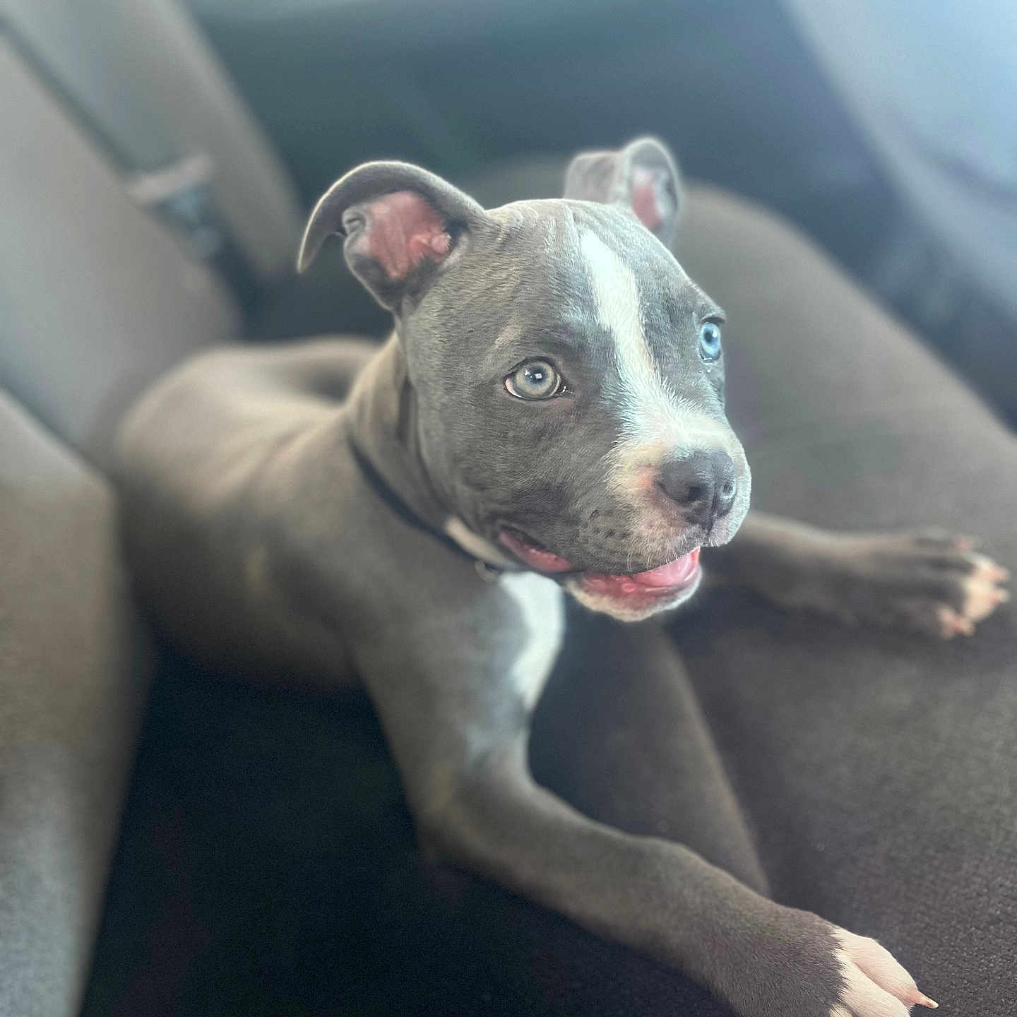 Pressure