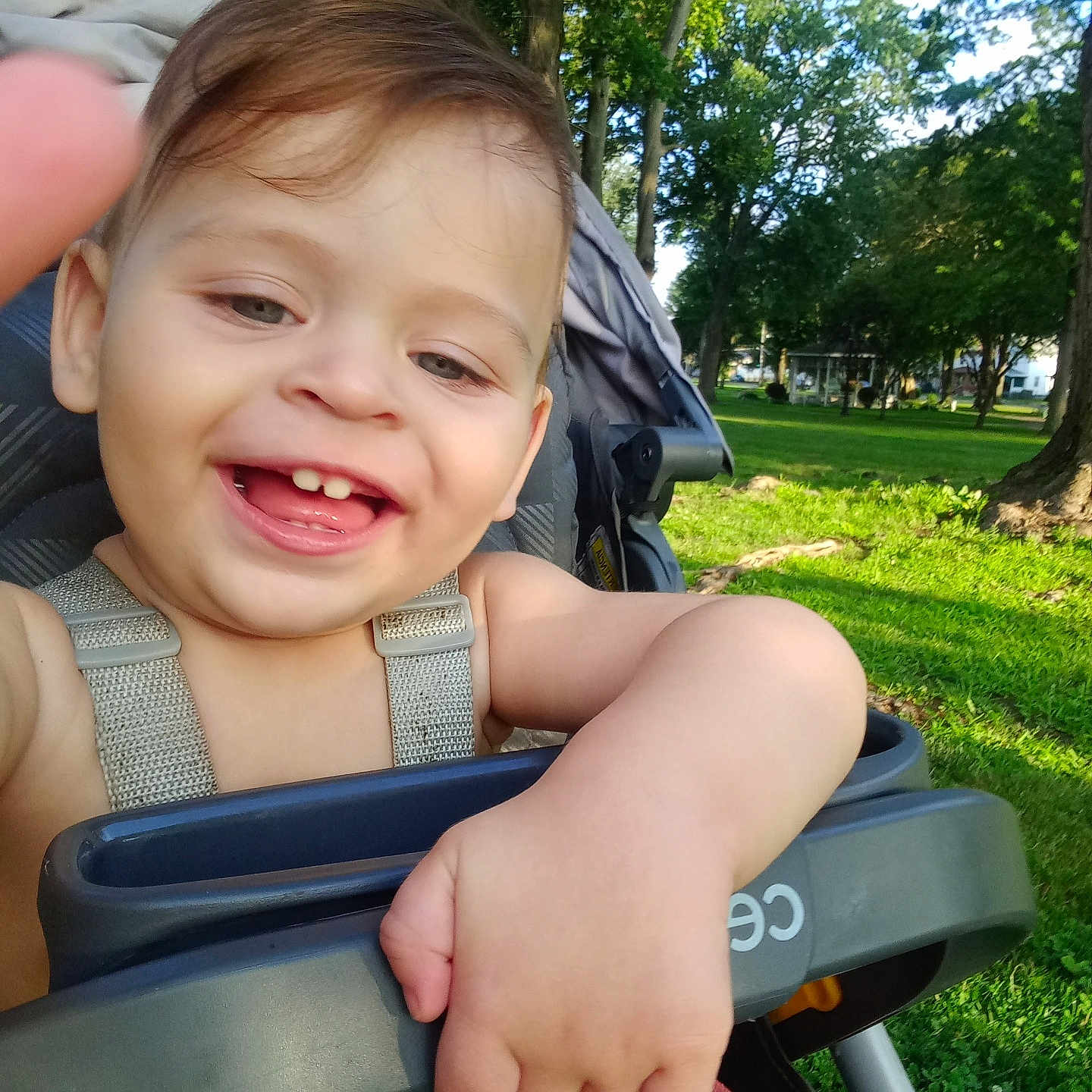 Flynn joined the competition — help win amazing prizes! accessories, baby, babylaughing, backyard, bench, bodypart, chair, clothing, face, finger, furniture, glasses, grass, grove, hand, happy, head, land, laughing, lawn