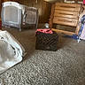 child, playpen, carpet, dresser, clothing, wood_paneling, blanket, crate, room, indoor, furniture, baby, toy, floor, household, casual, storage, cozy, curtains, person