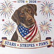Milo joined the competition — help win amazing prizes! dog, illustration, patriotic, american_flag, stars_and_stripes, bandana, fireworks, red_white_blue, independence_day, july_fourth, 250th_anniversary, digital_art, portrait, brown_dog, spotted_dog, website, browser_screenshot, phone_screen, decorative_banner, patriotic_design