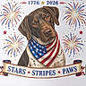 dog, illustration, patriotic, american_flag, stars_and_stripes, bandana, fireworks, red_white_blue, independence_day, july_fourth, 250th_anniversary, digital_art, portrait, brown_dog, spotted_dog, website, browser_screenshot, phone_screen, decorative_banner, patriotic_design