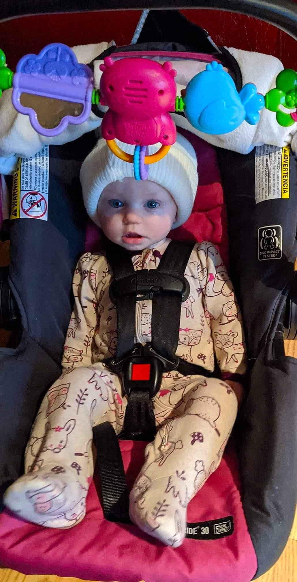 Aliza joined the competition — help win amazing prizes! beanie, cap, child, costume, costume_hat, doll, event, fashion_accessory, fashion_design, fur, headwear, knit_cap, magenta, outerwear, person, personal_protective_equipment, pink, stuffed_toy, textile, toddler
