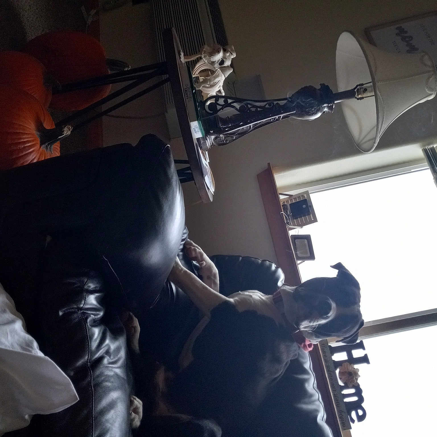 Boomer joined the competition — help win amazing prizes! audio_equipment, chair, comfort, couch, darkness, elbow, electronic_device, fun, human_leg, lighting, machine, monochrome, music, musician, room, sitting, sky, space, suit, technology
