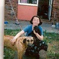 P.j joined the competition — help win amazing prizes! anatolian_shepherd_dog, canidae, carnivore, central_asian_shepherd_dog, dog, dog_breed, fawn, kangal_dog, livestock_guardian_dog, mammal, rafeiro_do_alentejo, sporting_group, vertebrate