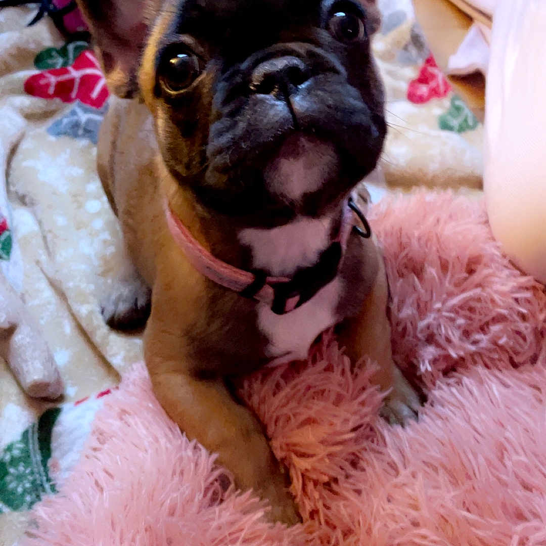 Luna