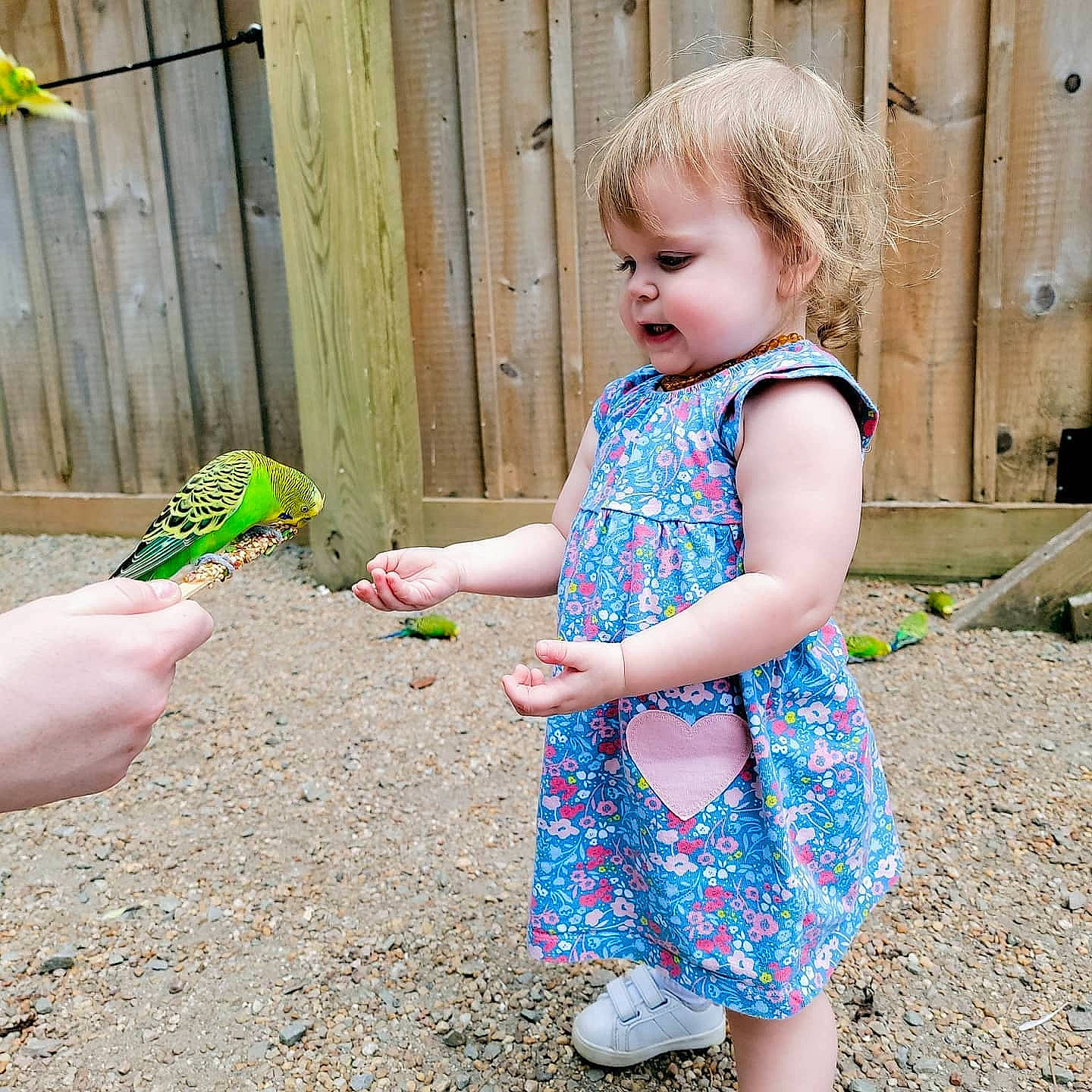 Luciana joined the competition — help win amazing prizes! baby_toddler_clothing, child, electric_blue, food, fun, grass, happy, leisure, nail, pattern, people_in_nature, person, pink, play, sandal, soil, t_shirt, toddler, vacation, wood