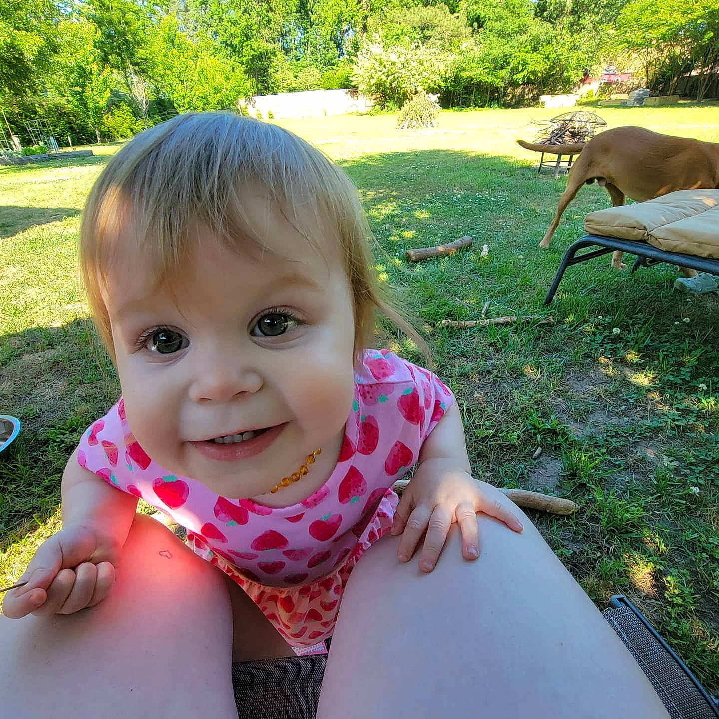 Luciana is registered to the contest to win money with this photo: baby, baby_toddler_clothing, chest, finger, grass, green, happy, iris, joy, leisure, lip, people_in_nature, person, plant, recreation, skin, smile, summer, thigh, thumb
