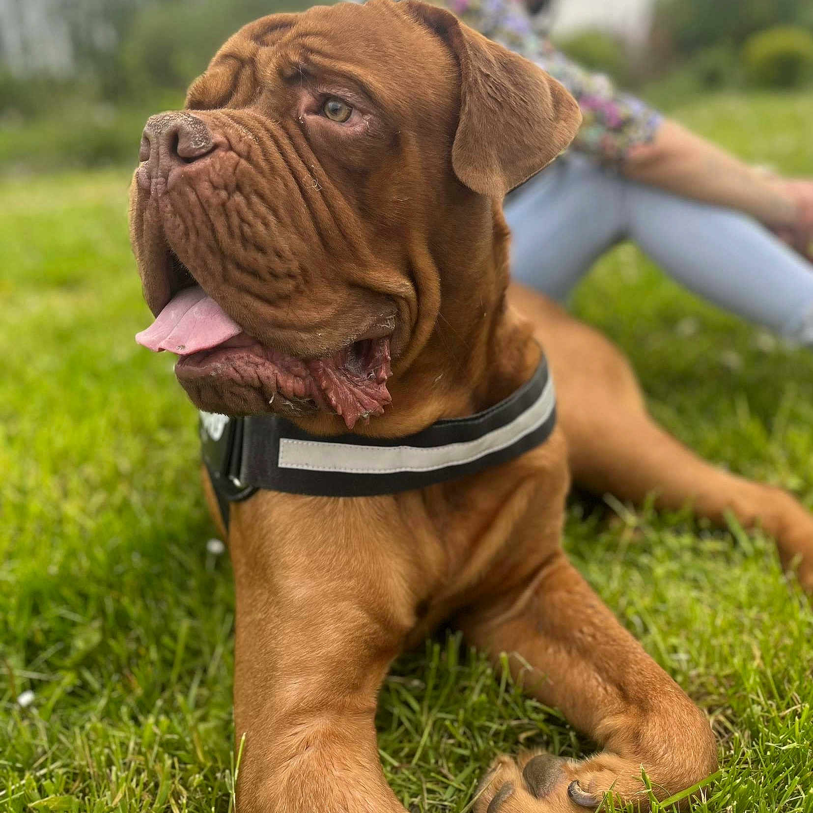 Bouba
