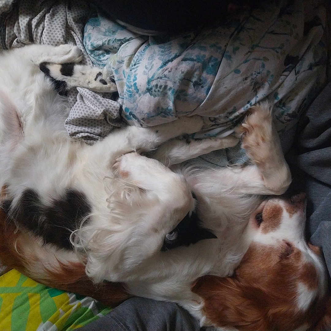 Max