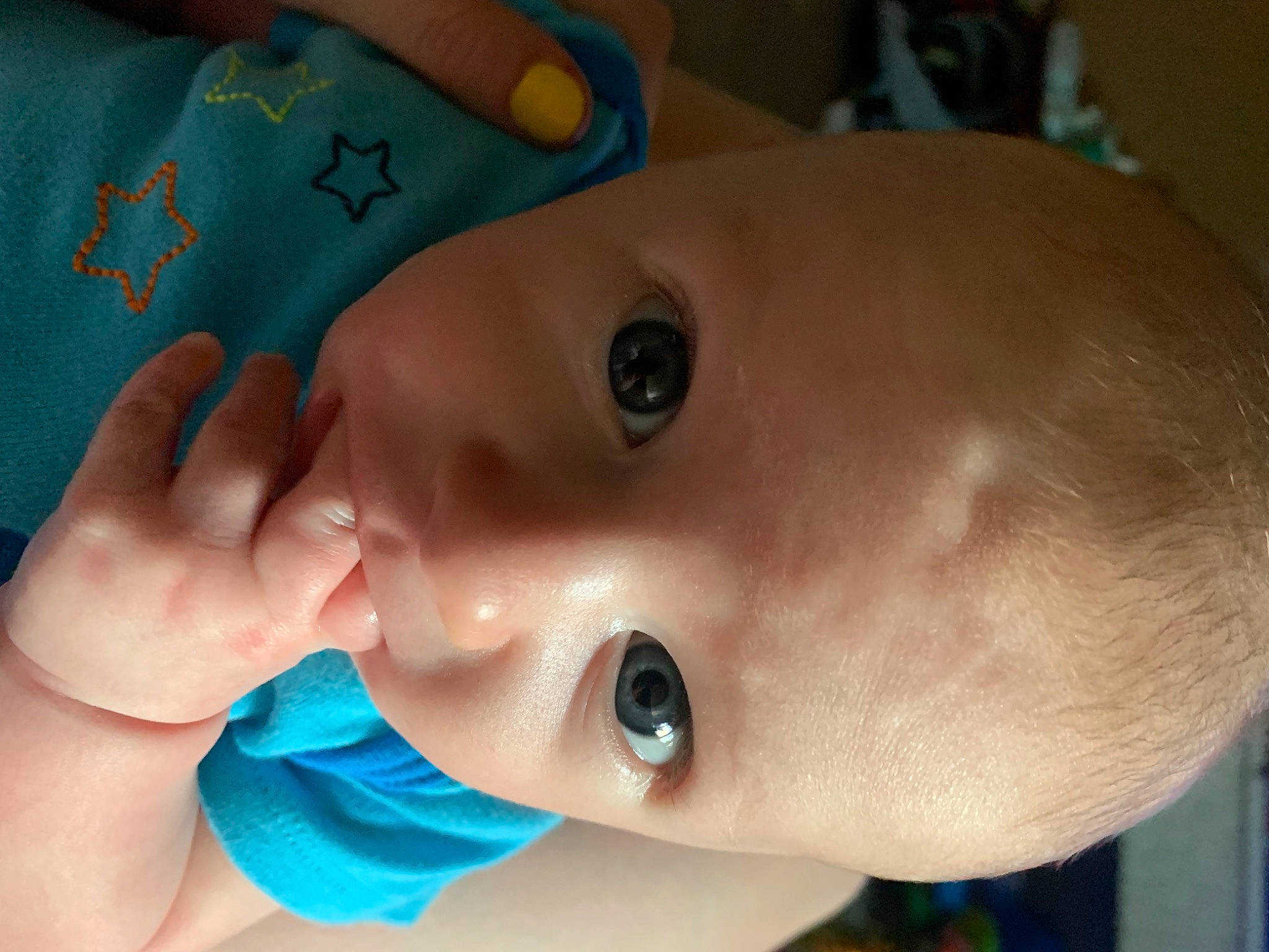Maverick joined the competition — help win amazing prizes! azure, baby, cheek, chin, ear, eye, eyebrow, eyelash, facial_expression, finger, forehead, hair, iris, lip, mouth, neck, nose, organ, person, product