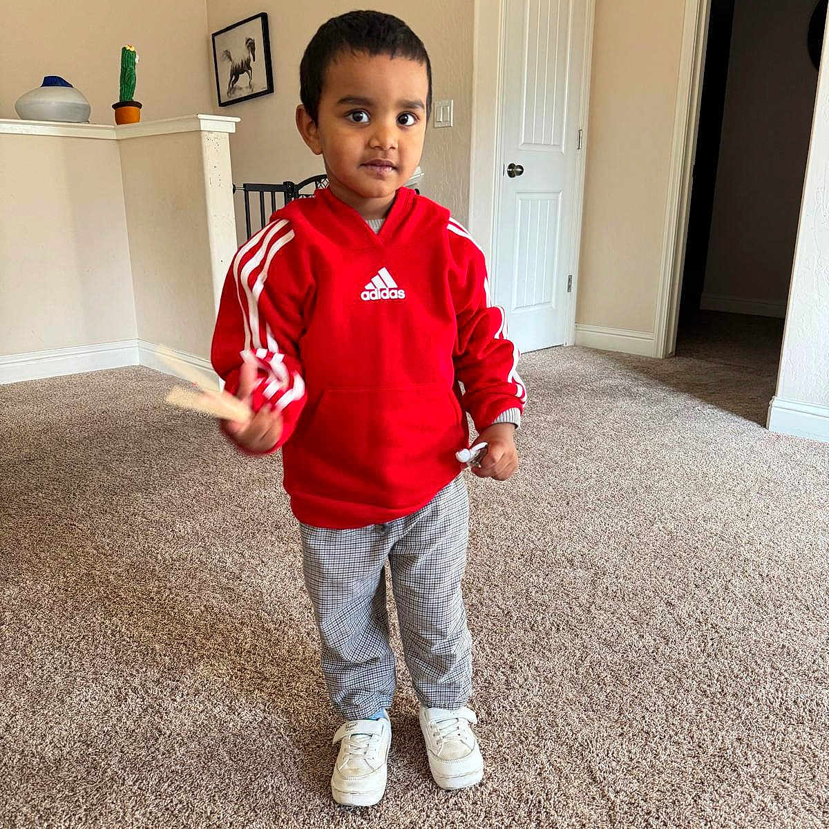Harvey Sidhu is registered to the contest to win money with this photo: adidas, boy, carpet, casual_clothing, child, chopsticks, curious, door, floor, home_interior, indoor, pants, person, portrait, red_hoodie, smiling, standing, wall_art, white_shoes, young