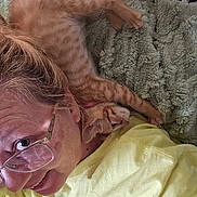 Kim Anderson joined the competition — help win amazing prizes! abyssinian, accessories, animal, blanket, bodypart, cat, couch, face, finger, furniture, glasses, hand, head, homedecor, kitten, person, pet, photography, portrait, sleeping
