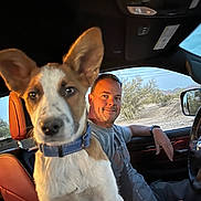 Jackson is registered to the contest to win money with this photo: dog, puppy, person, man, car_interior, seat, seatbelt, window, desert, trees, sky, steering_wheel, casual_clothing, collar, ear, face, smile, daytime, vehicle, human