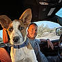 dog, puppy, person, man, car_interior, seat, seatbelt, window, desert, trees, sky, steering_wheel, casual_clothing, collar, ear, face, smile, daytime, vehicle, human