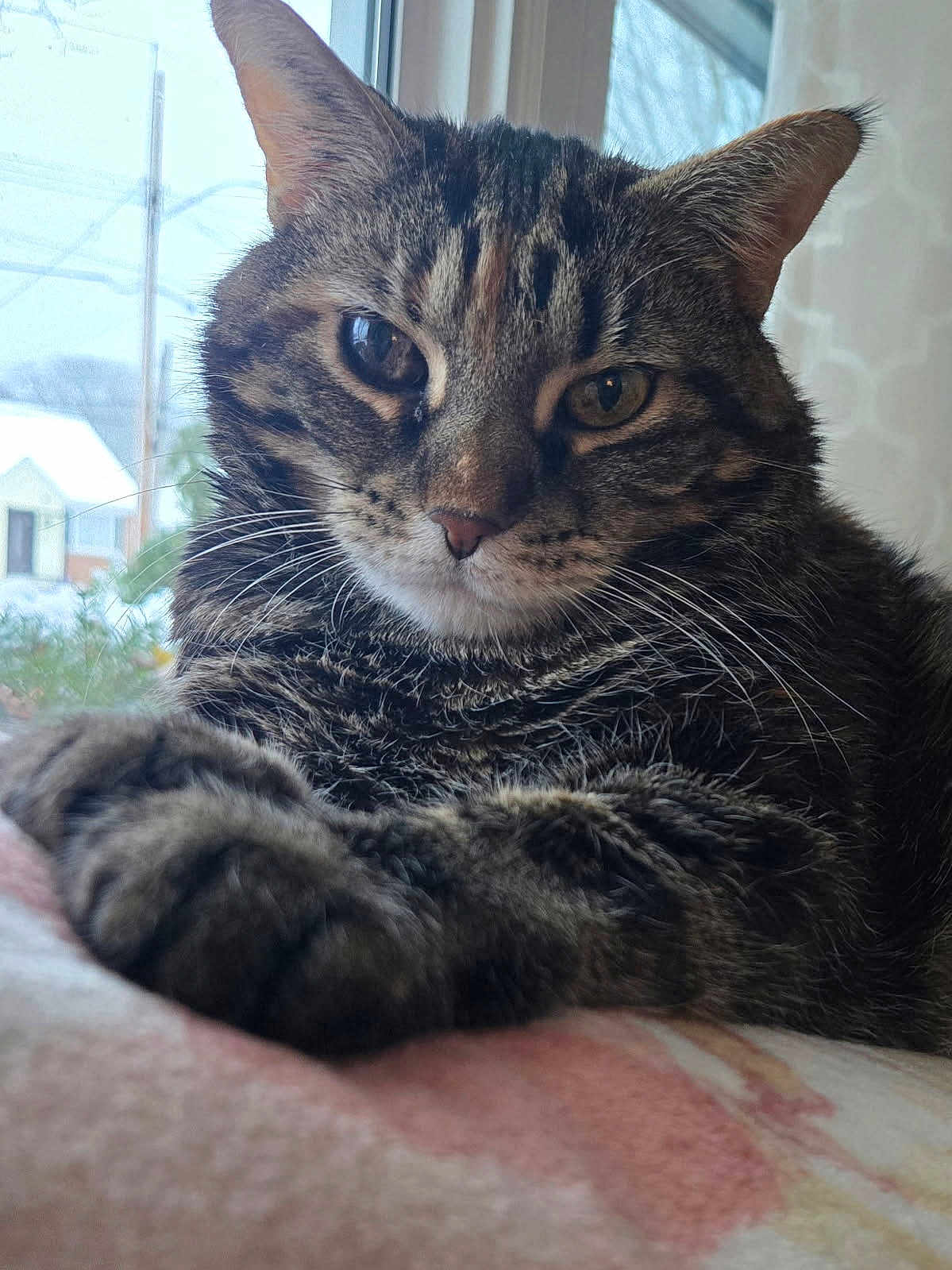 Maddy