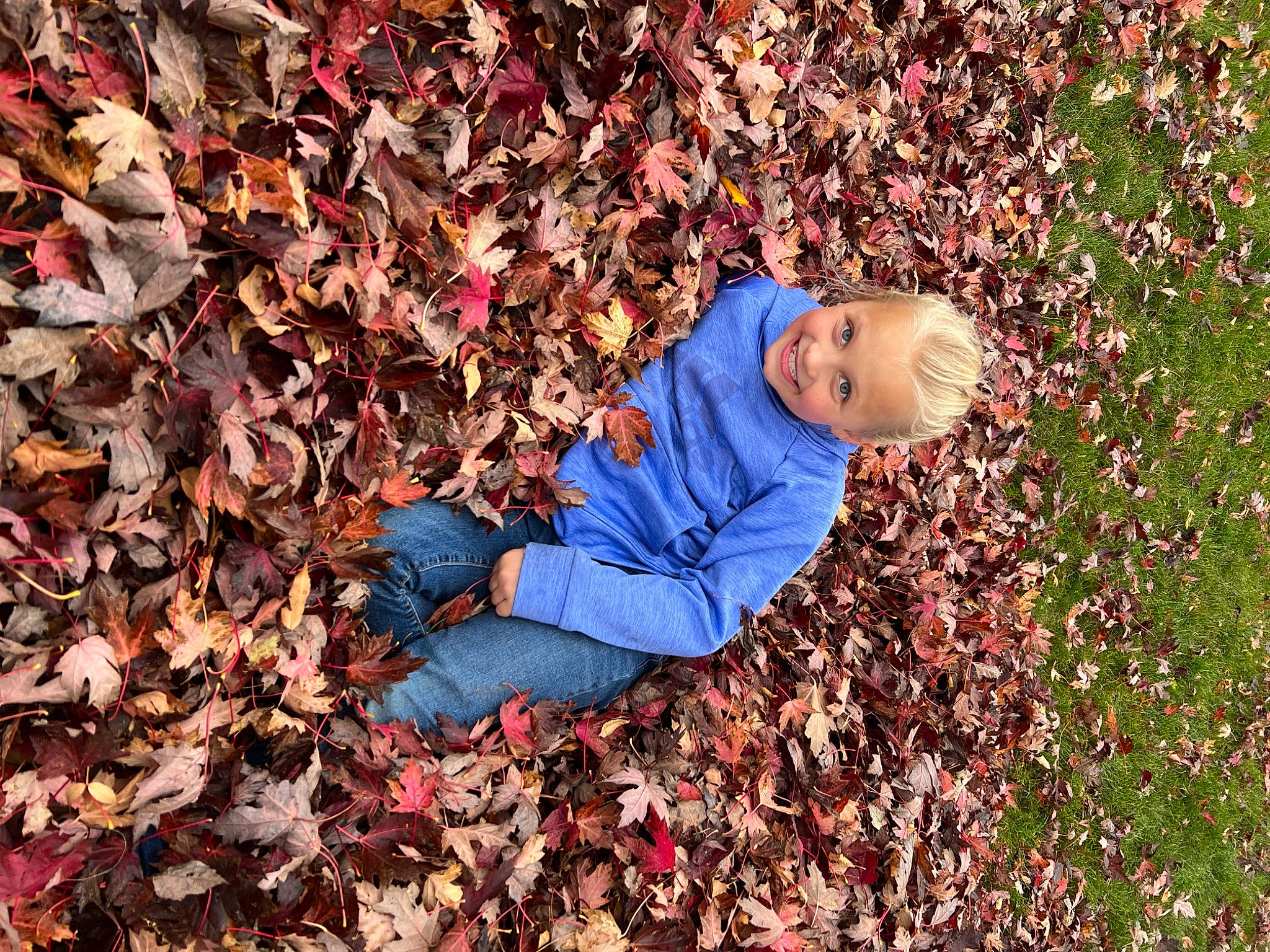 Karsyn joined the competition — help win amazing prizes! autumn, branch, child, deciduous, fun, grass, happy, joy, landscape, leaf, leisure, natural_landscape, nature, people_in_nature, person, plant, smile, soil, tints_and_shades, toddler