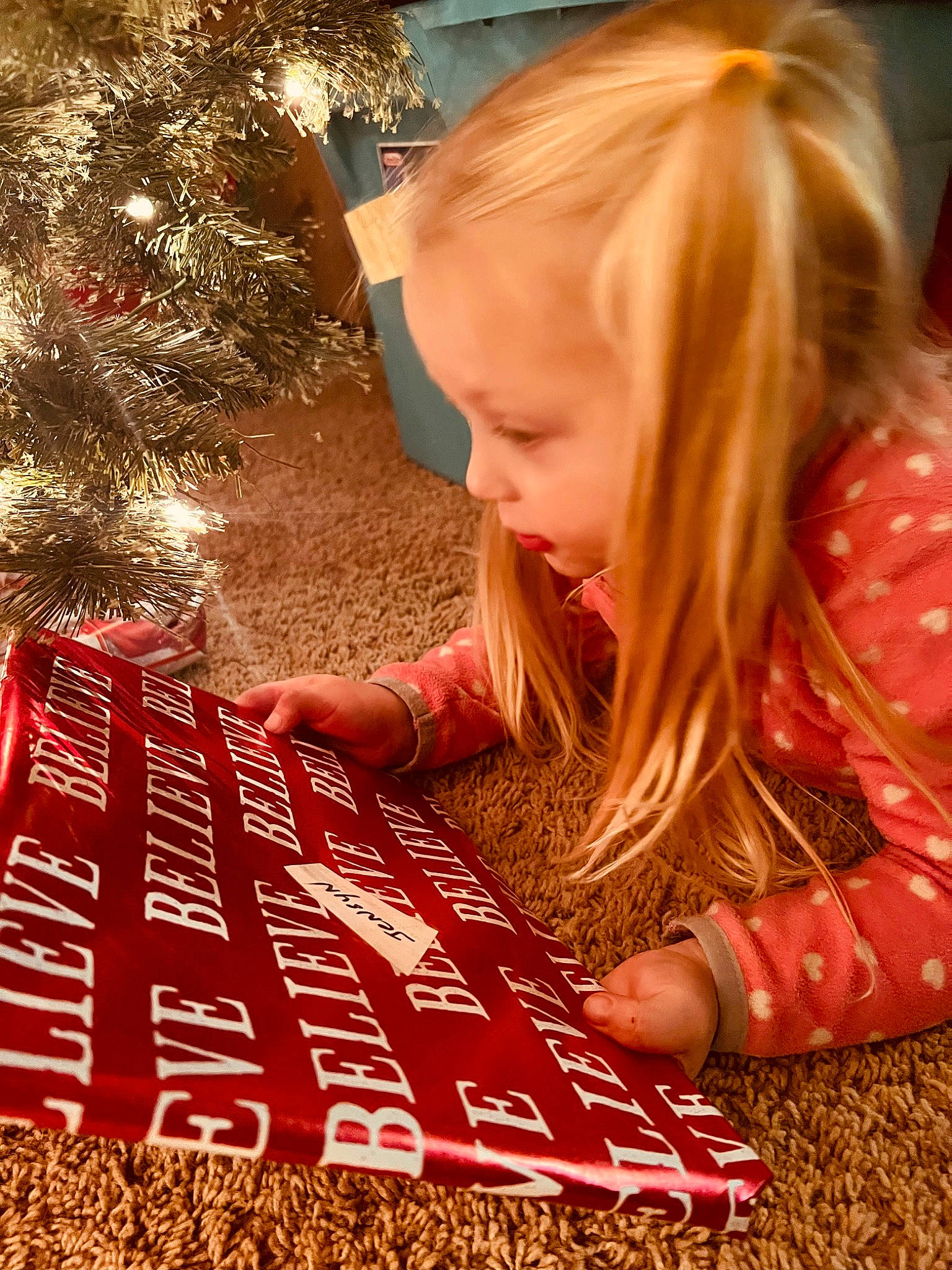 Jensyn is registered to the contest to win money with this photo: beauty, blond, carmine, child, christmas_ornament, christmas_tree, conifer, event, facial_expression, flooring, fun, grass, happy, holiday, pattern, people, person, sitting, toddler, tree