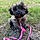 Lucy