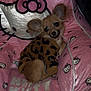 dog, small_dog, puppy, leopard_print, sweater, pink, hello_kitty, plush_chair, cute, pet, indoor, cozy, fur, ears, animal, resting, looking, comfortable, adorable, home