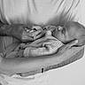 Léo participe au concours pour gagner de l'argent avec cette photo : baby, newborn, infant, hands, holding, parent, child, black_and_white, portrait, love, tenderness, clothing, sweater, peaceful, sleeping, human, adult, closeup, family, care