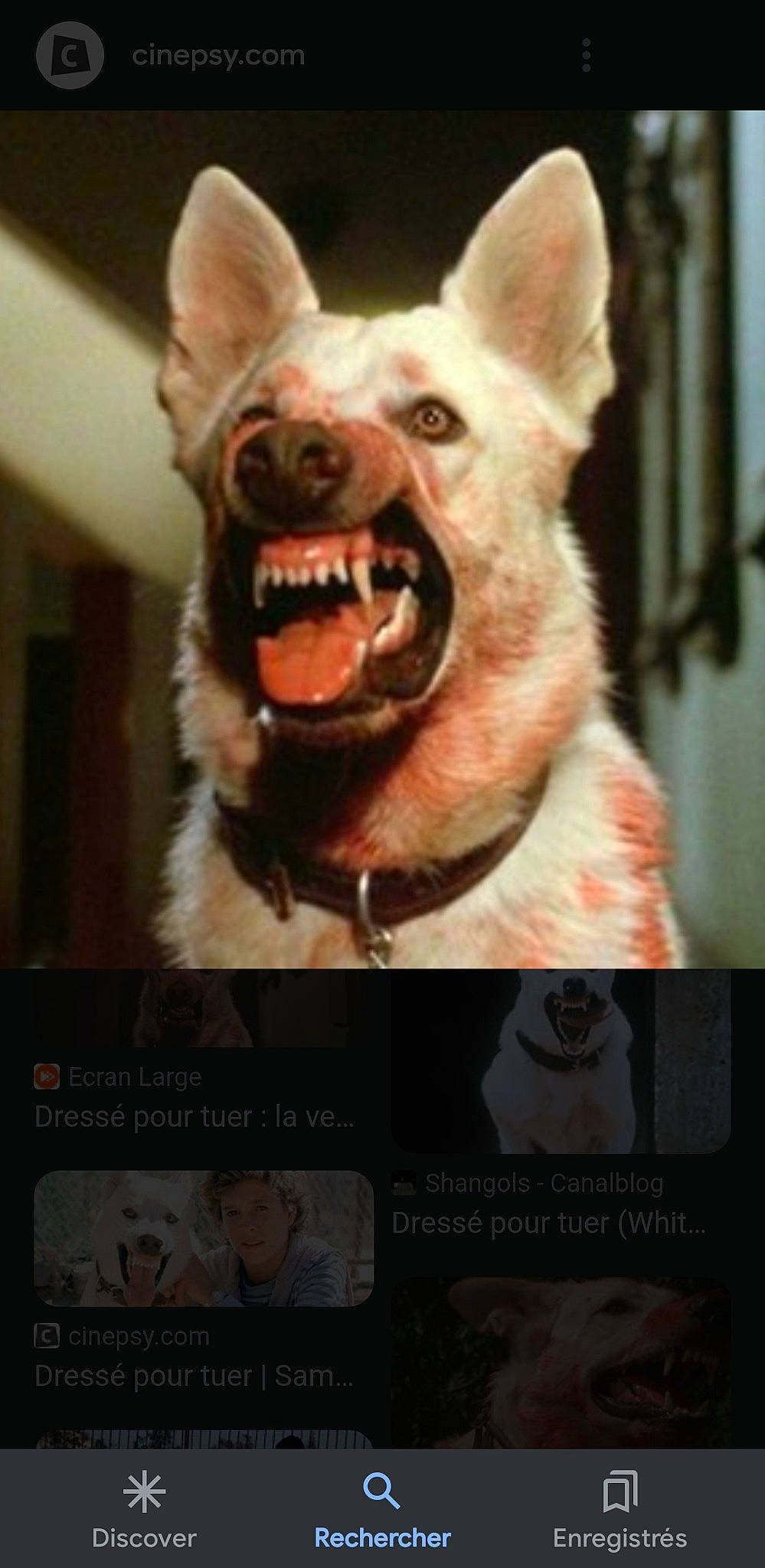 Oussama Benlachienne participe au concours pour gagner de l'argent avec cette photo : art, canidae, carnivore, companion_dog, costume, dog, dog_breed, fang, fawn, felidae, fictional_character, flesh, fur, jaw, photo_caption, snout, sporting_group, terrestrial_animal, whiskers, working_animal