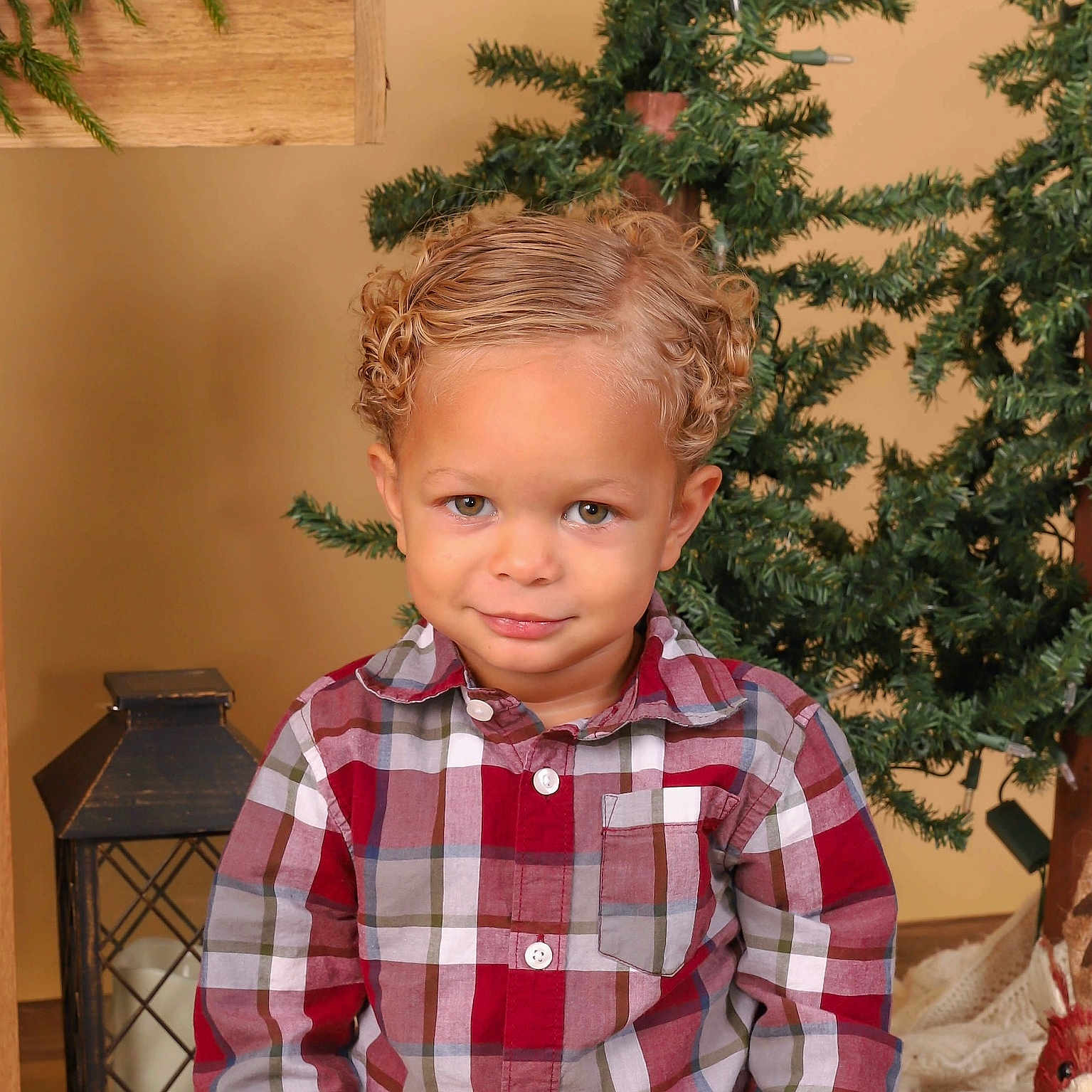 Duquesne joined the competition — help win amazing prizes! accessories, boy, child, clothing, conifer, face, fir, head, homedecor, linen, male, person, photography, pine, plant, portrait, pottedplant, shirt, tree, wood