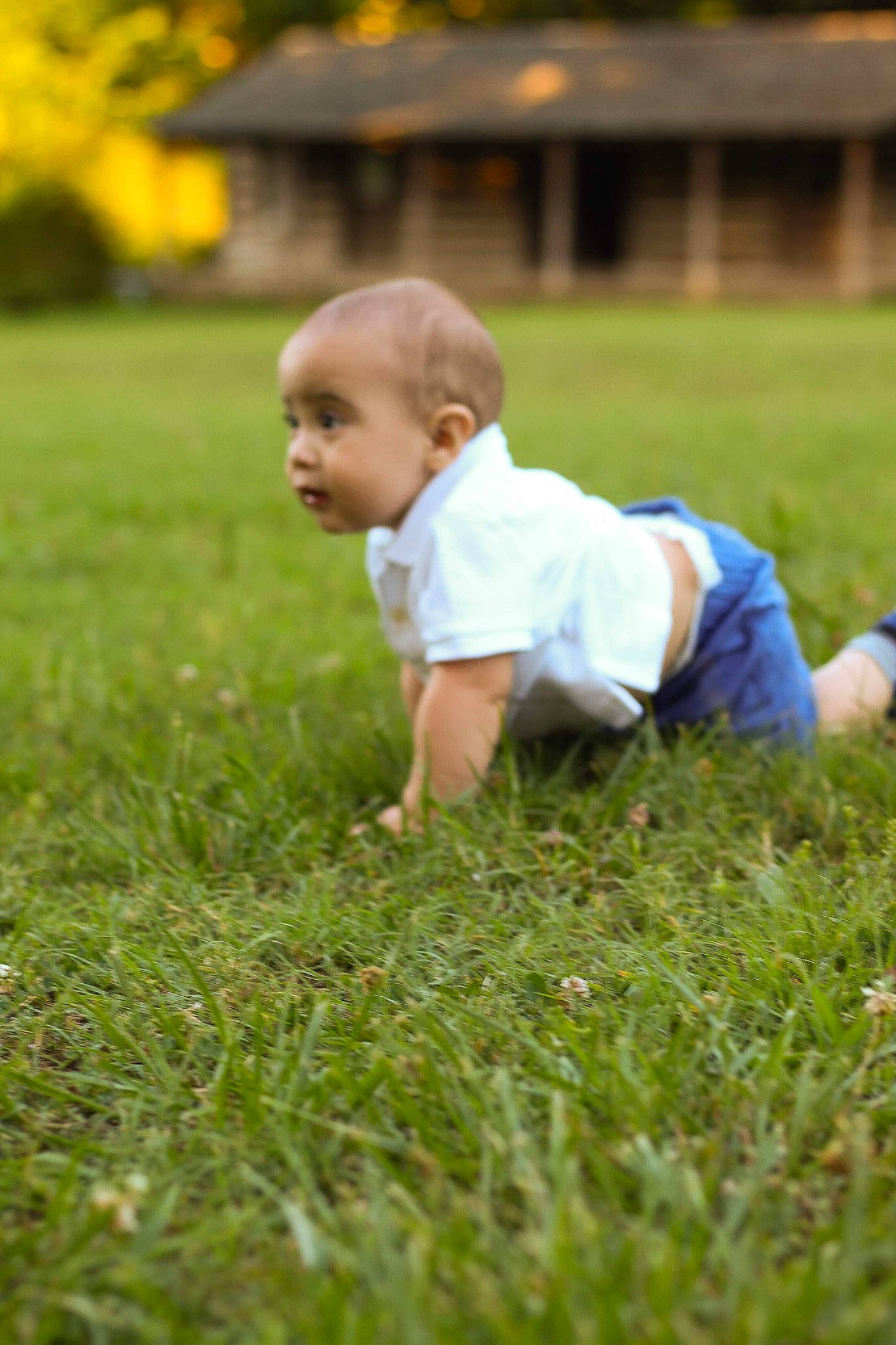 Maddox joined the competition — help win amazing prizes! baby, baby_toddler_clothing, dress, flash_photography, flooring, fun, grass, grass_family, grassland, happy, lawn, leaf, leisure, meadow, people_in_nature, person, plant, shorts, surprise, toddler