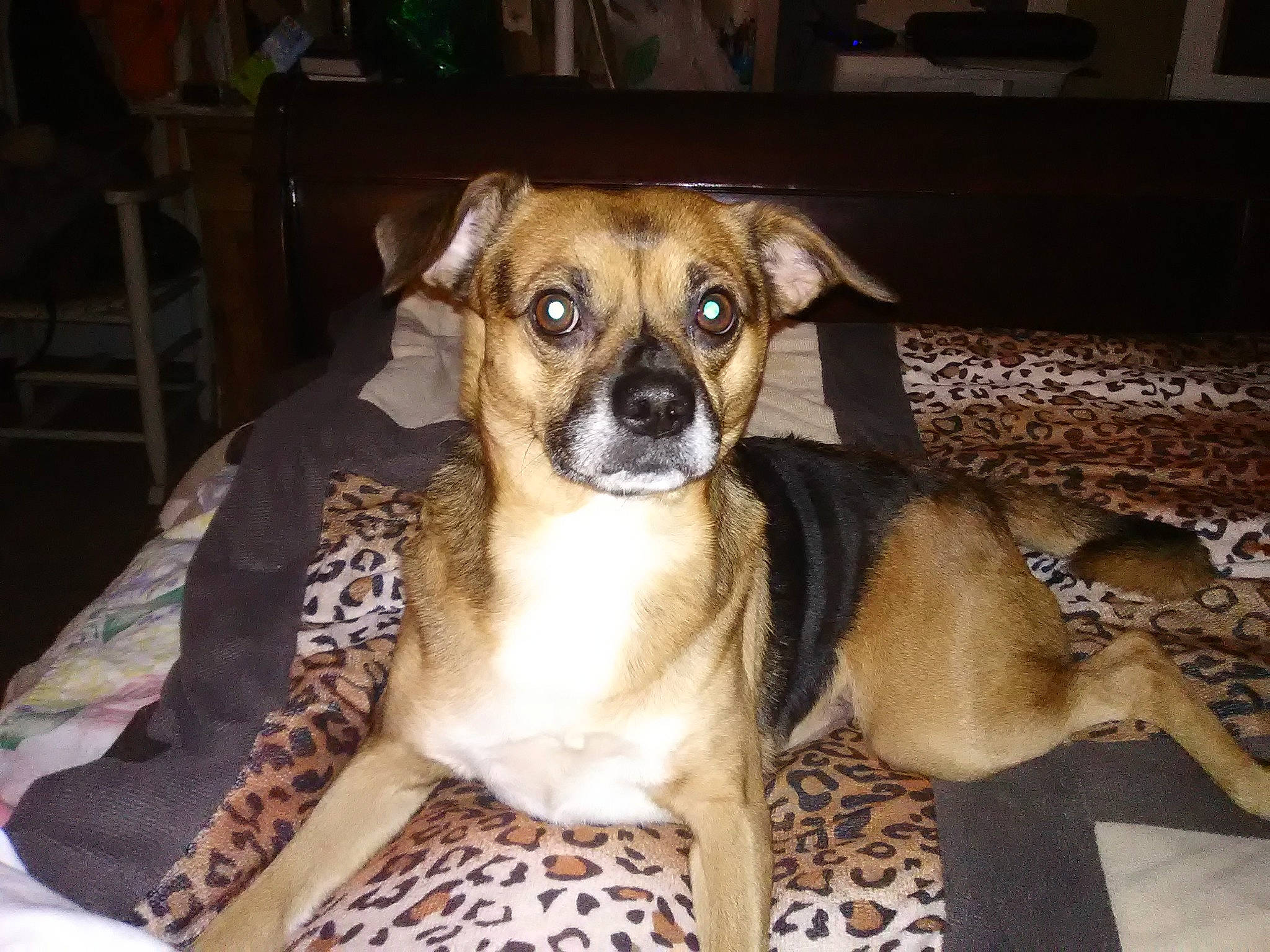 Rosco