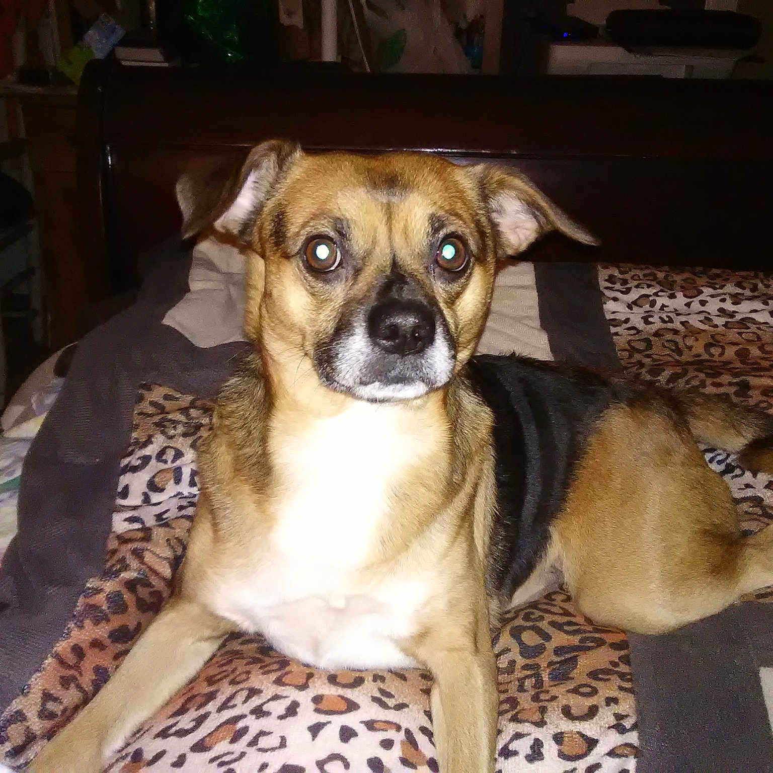 Rosco