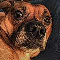 Angela C.