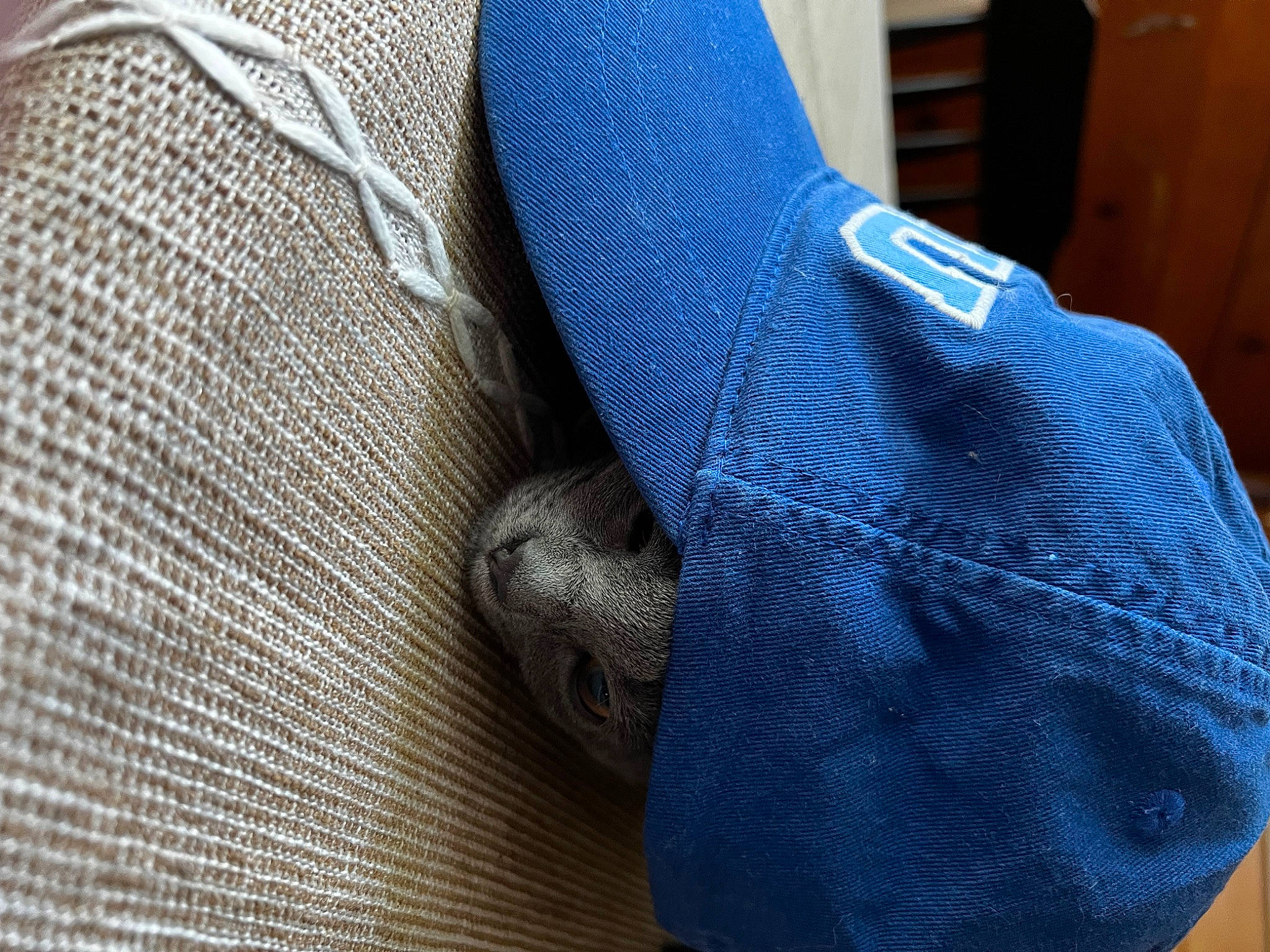 Cinder joined the competition — help win amazing prizes! button, carmine, collar, comfort, denim, electric_blue, fashion_accessory, fiber, grey, human_leg, magenta, pattern, pocket, sleeve, stitch, thumb, wool, woolen, woven_fabric, wrist