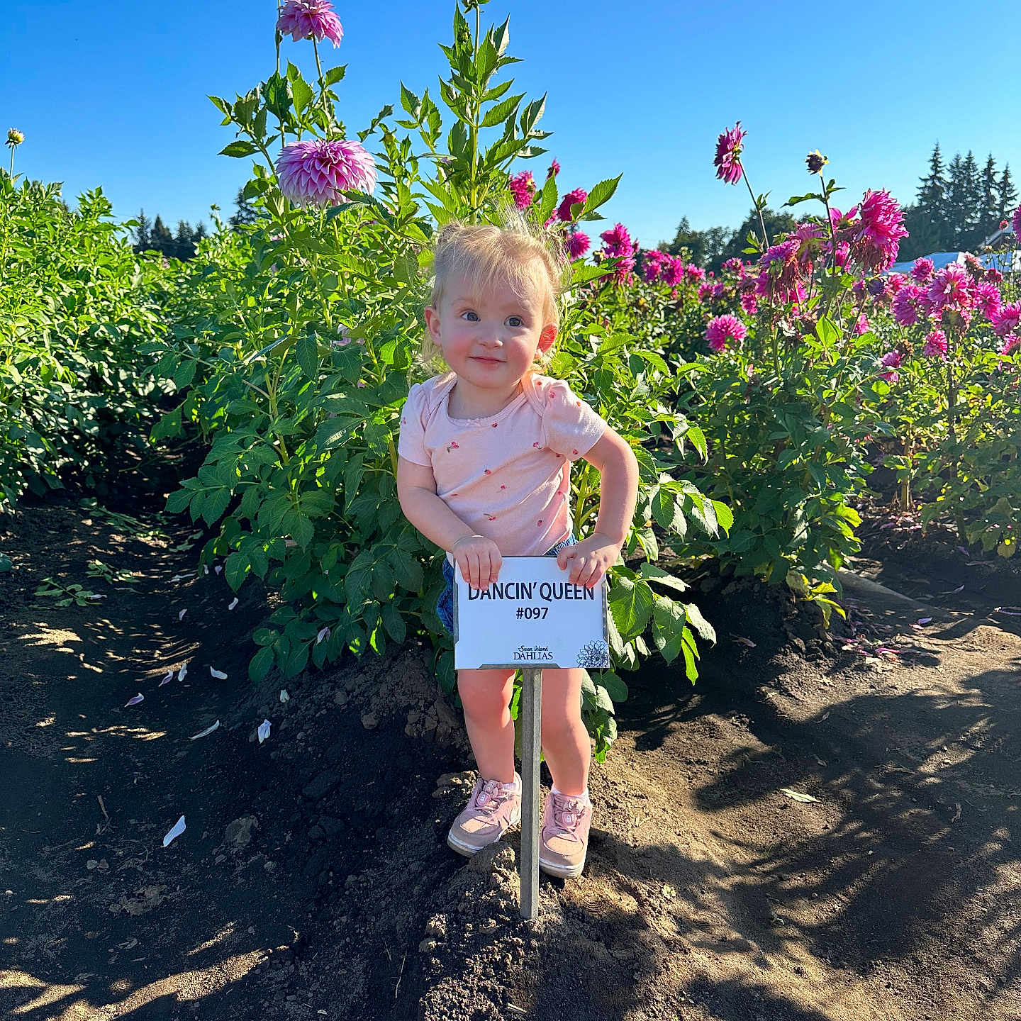 Kennadee joined the competition — help win amazing prizes! child, dahlia, face, female, flower, garden, grass, head, herbal, herbs, nature, outdoors, park, person, photography, plant, portrait, soil, summer, vegetation