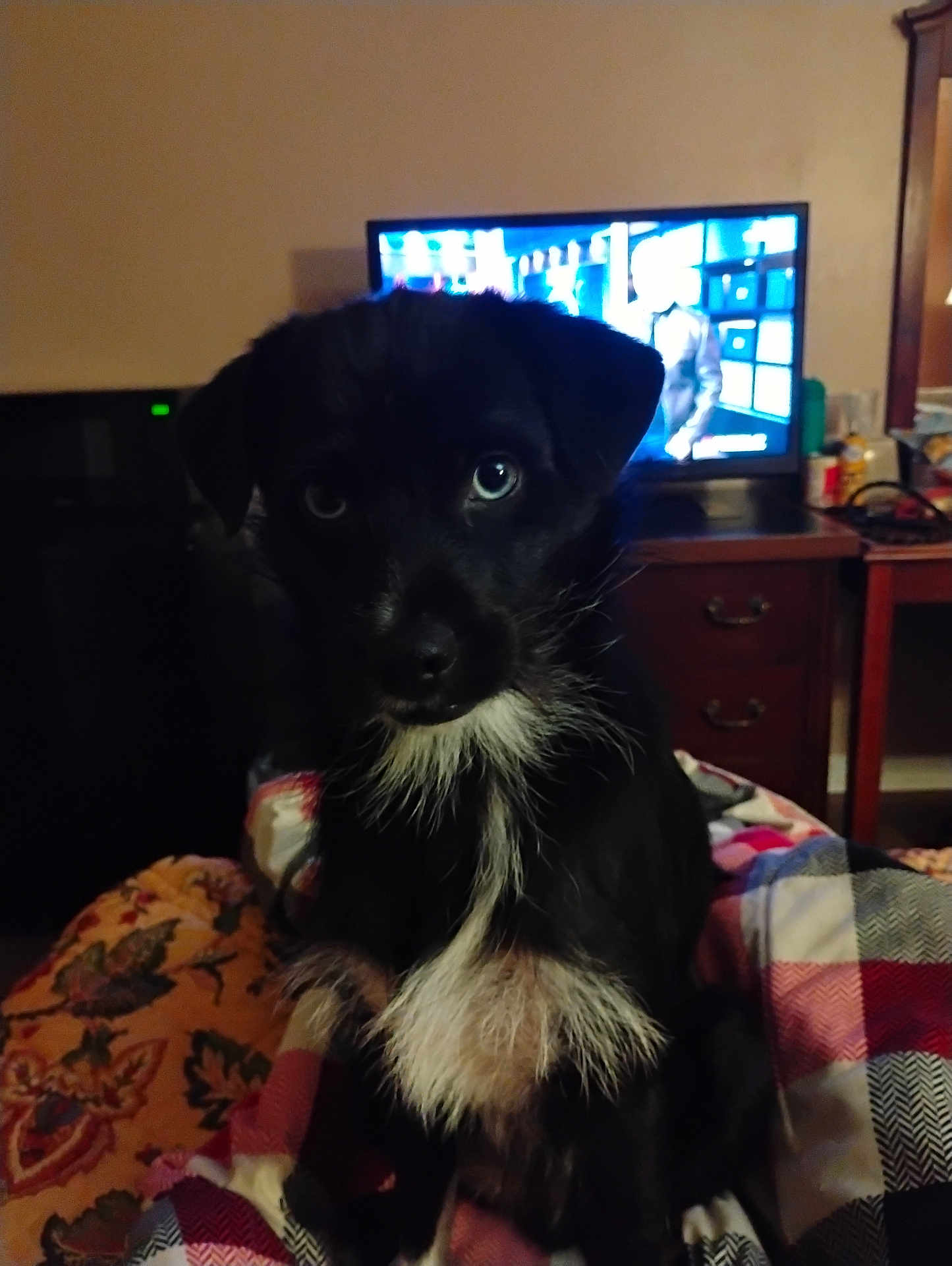 Jack