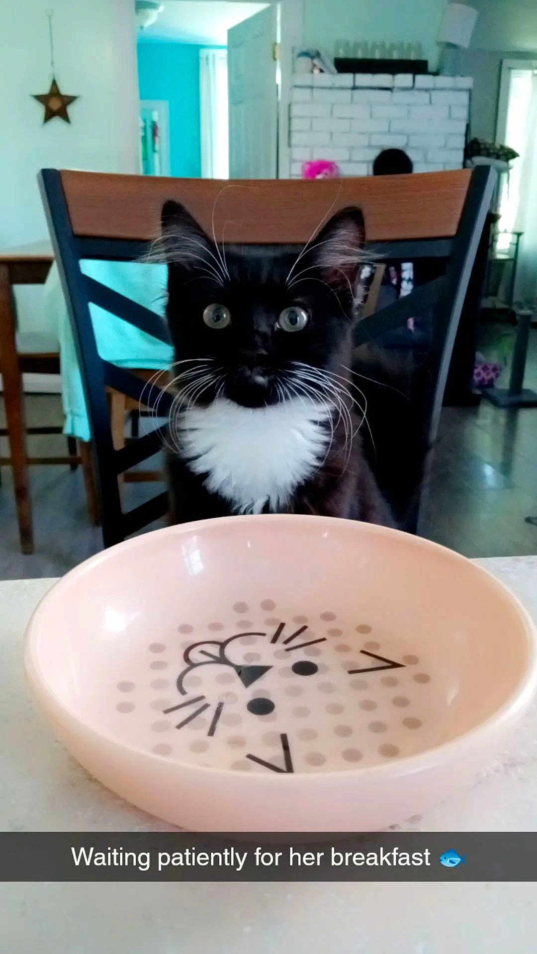Cici