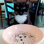 C.c is registered to the contest to win money with this photo: cat, kitten, black_and_white, tuxedo_cat, bowl, pink_bowl, cat_face_design, chair, wooden_chair, table, indoor, curious, pet, whiskers, eyes, fur, domestic_cat, furniture, home, waiting