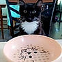 cat, kitten, black_and_white, tuxedo_cat, bowl, pink_bowl, cat_face_design, chair, wooden_chair, table, indoor, curious, pet, whiskers, eyes, fur, domestic_cat, furniture, home, waiting